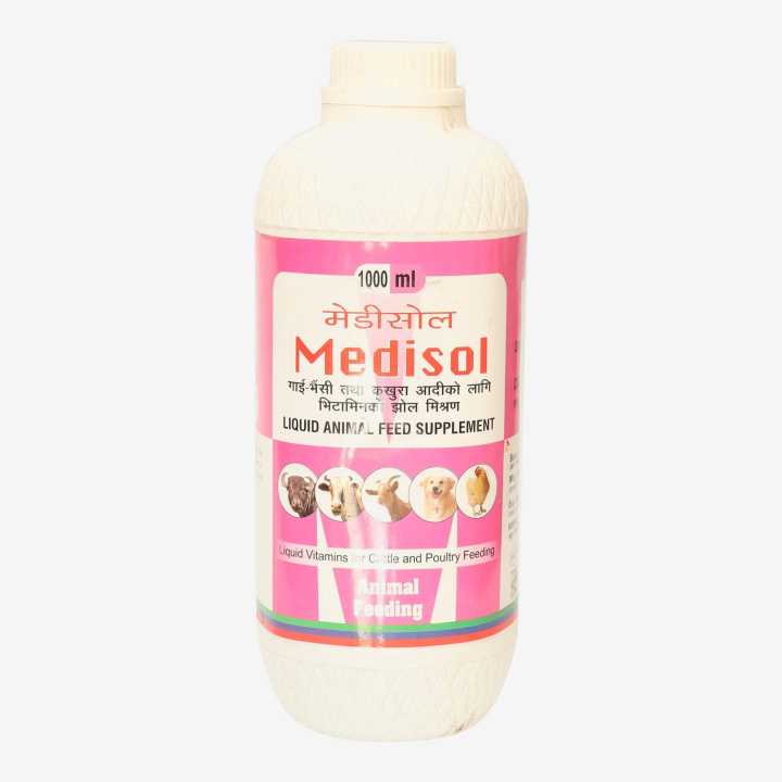 Medisol 25% DW Stk 1000ml
