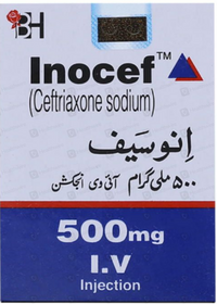 Inocef I.M 500mg Injection