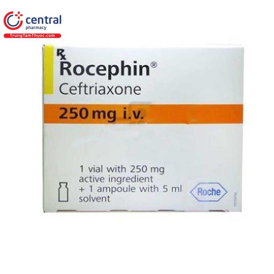 Rocephin IM 250mg Injection