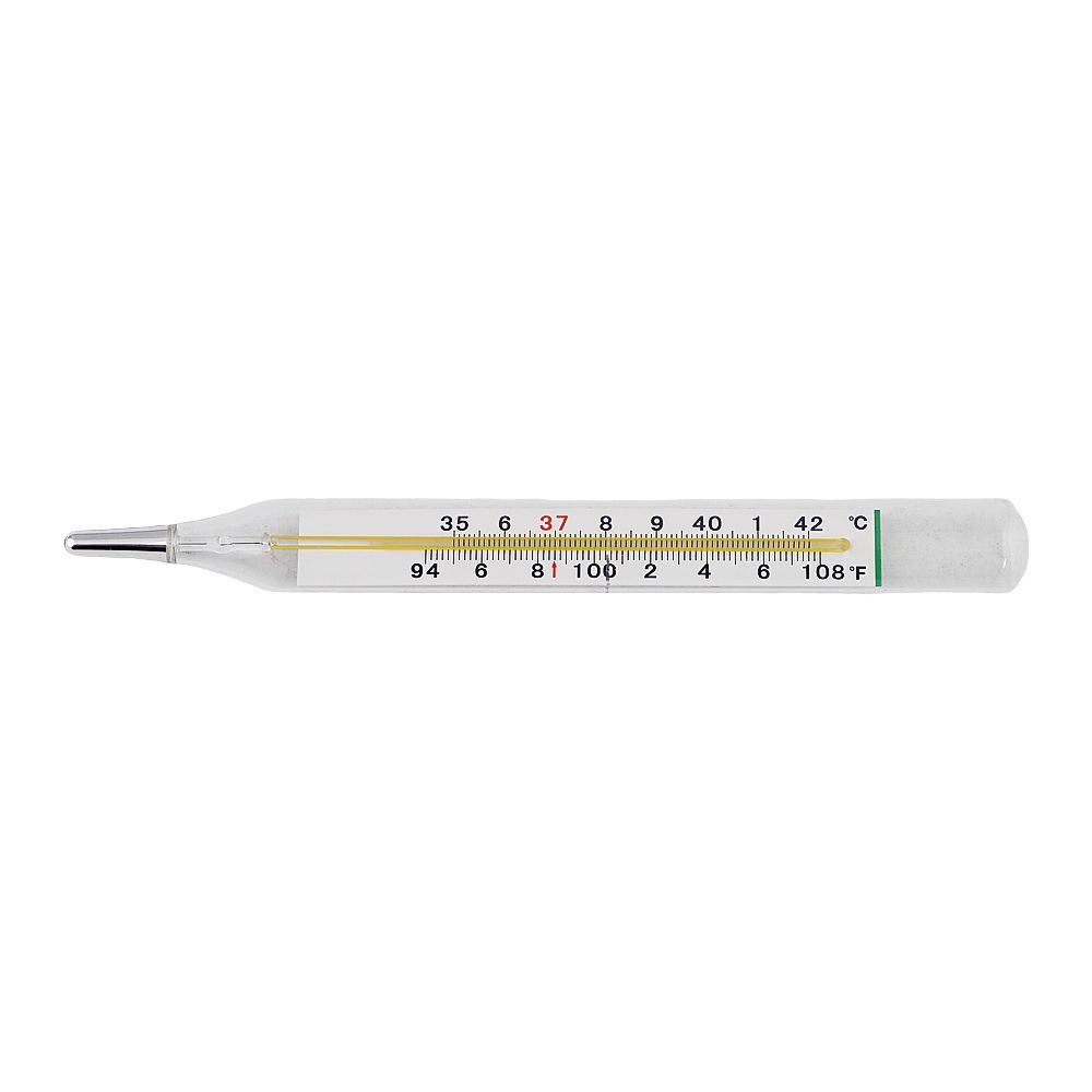Medicare Mercury Free Thermometer