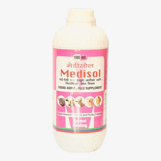 Medisol 25% DW Stk 1000ml