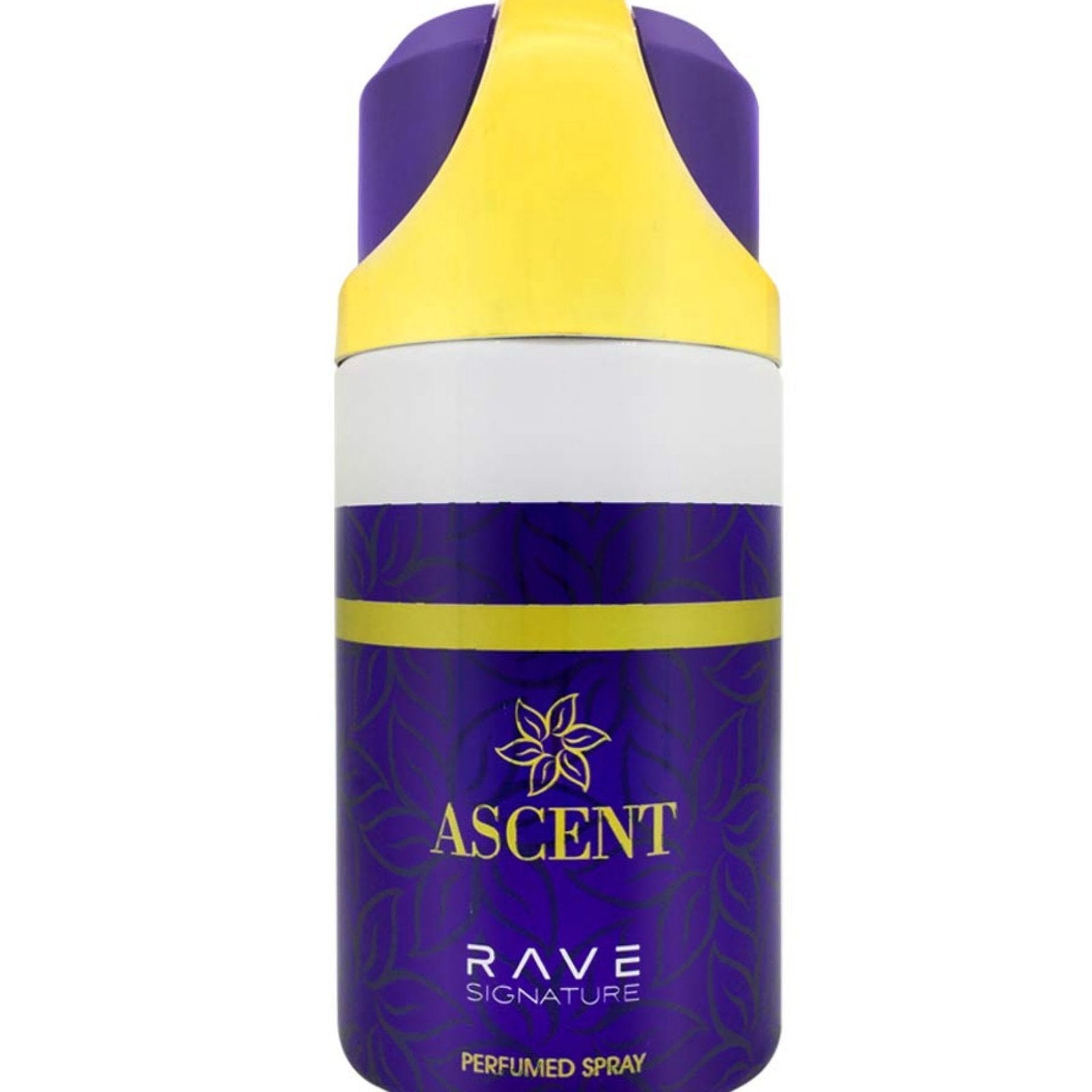 Rave Body 250ml Spray