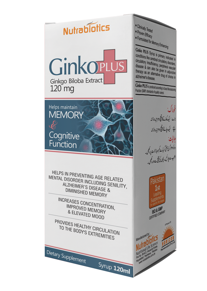 GINKO-PLUS Stk 120ml Syrup