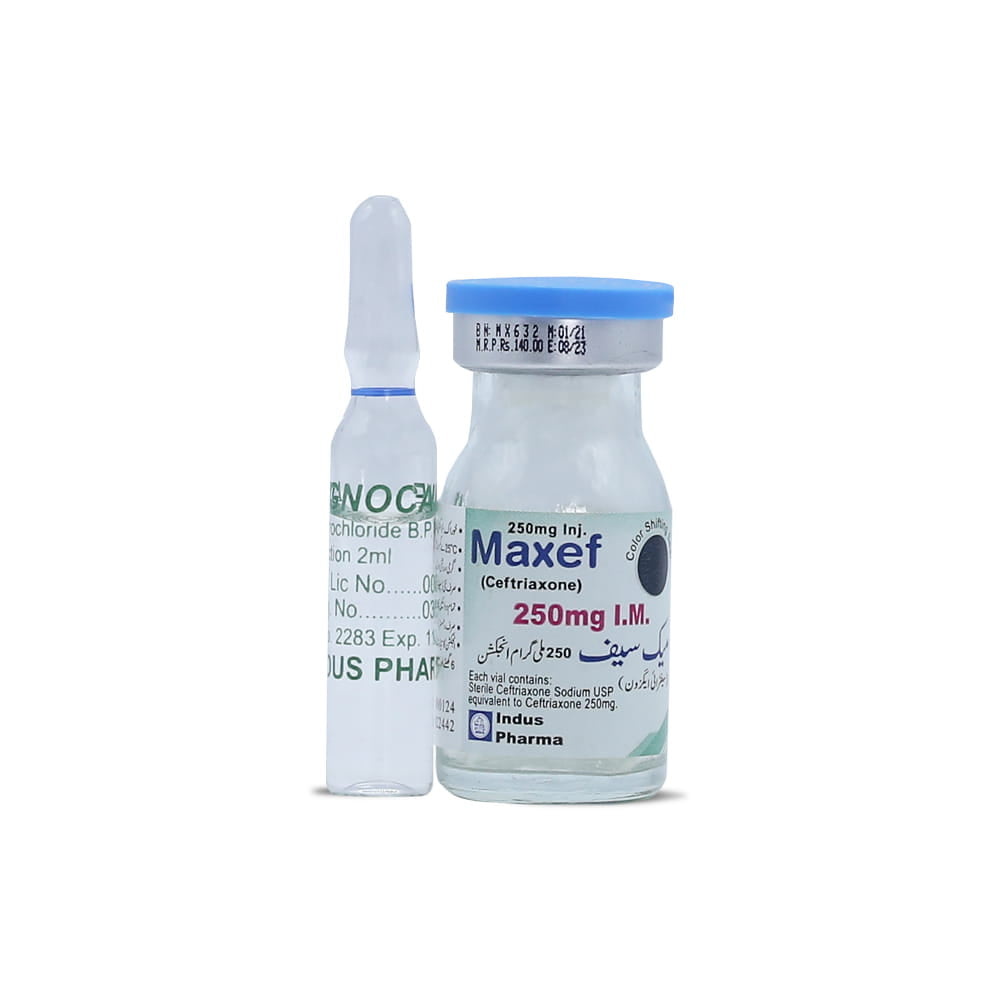 Maxef IM 250mg Injection