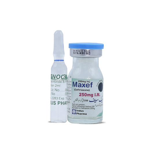 Maxef IM 250mg Injection