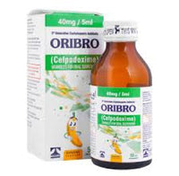Oribro / Stk 40mg 5ml Syrup