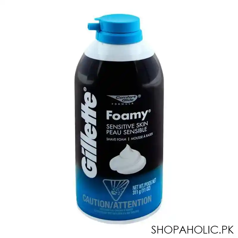 Gillette Foam 311g