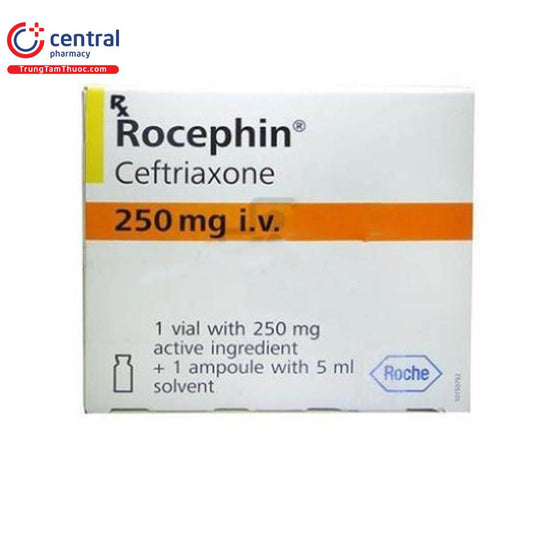 Rocephin IM 250mg Injection